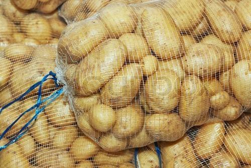 Holland fresh potatoes